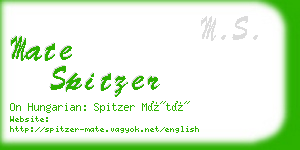 mate spitzer business card